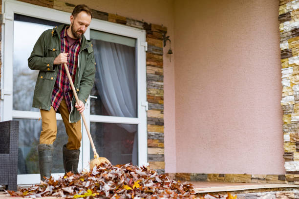 Best Basement Cleanout Services  in Barnwell, SC